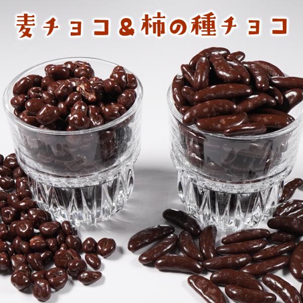 ポイント消化 送料無料 おやつ 業務用 柿の種チョコ300g 麦チョコ240g セット メール便