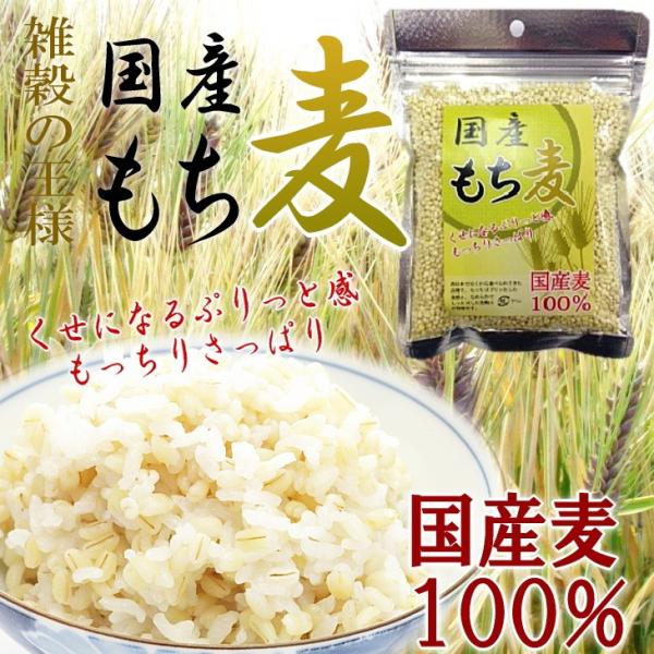 もち麦 国産100% 250g 送料無料 雑穀の王様 メール便 健康 美容 ポイント消化