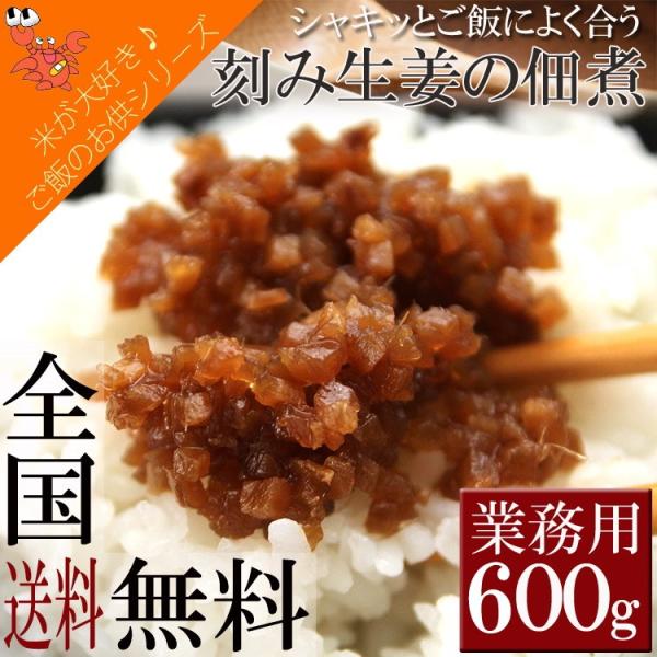 ご飯のお供 刻み生姜 佃煮 ご飯 おにぎり サラダ トッピング つまみ 酒の肴 ショウガ 600g 送料無料 メール便 セール