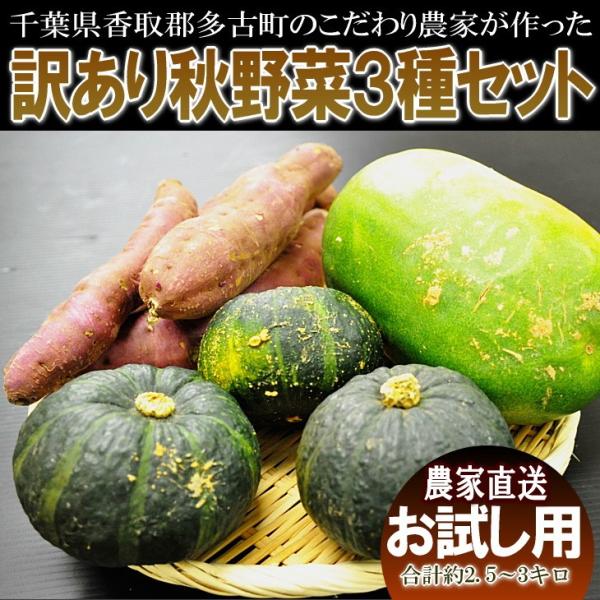 無農薬・減農薬　訳あり　秋野菜３種お試しセット　千葉県香取郡多古町こだわり農家直送