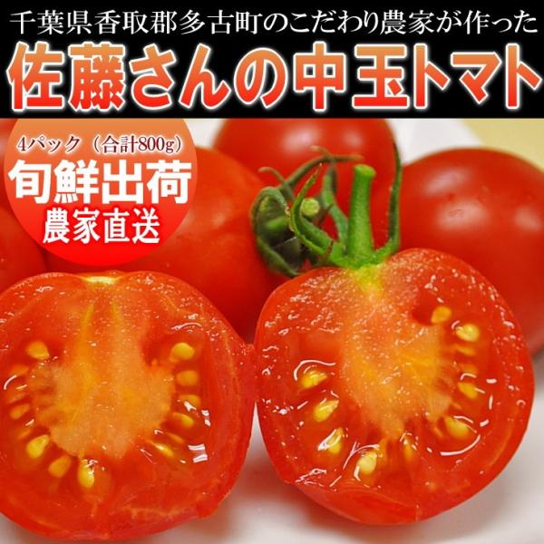 佐藤さんが作る　中玉　トマト　フルティカ　800g　千葉県香取郡多古町こだわり農家直送