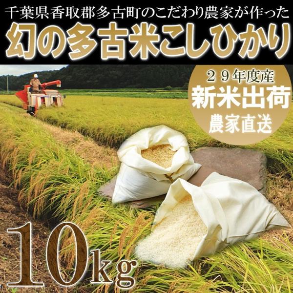 多古米 コシヒカリ 10kg 新米 千葉県香取郡多古町 こだわり農家直送