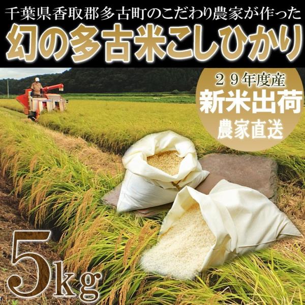多古米 コシヒカリ 5kg 新米 千葉県香取郡多古町 こだわり農家直送
