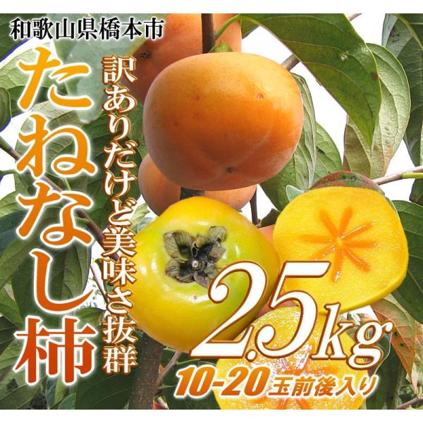訳あり たねなし柿2.5kg　10－20玉前後入り 紀州和歌山県産