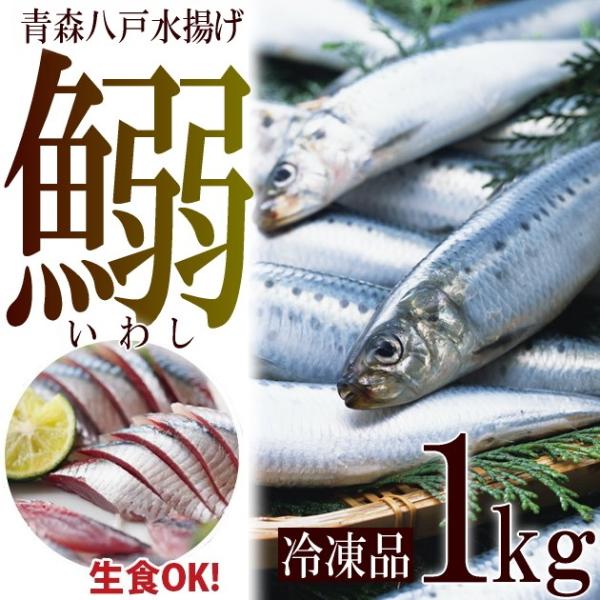 いわし　イワシ　鰯　青森　八戸　1kg　　急速冷凍でお刺身でも【送料無料】サイズ不選別