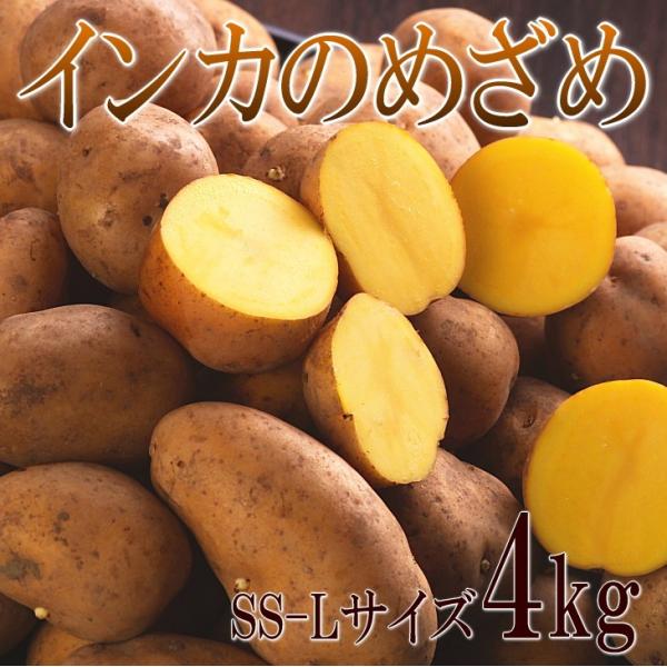 北海道産　インカのめざめ4kg