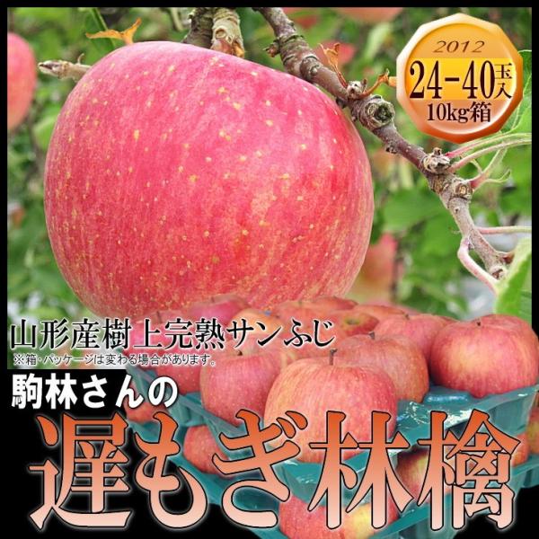 サンふじ 林檎 リンゴ りんご 送料無料 10kg前後 駒林さんの遅もぎサンふじ林檎