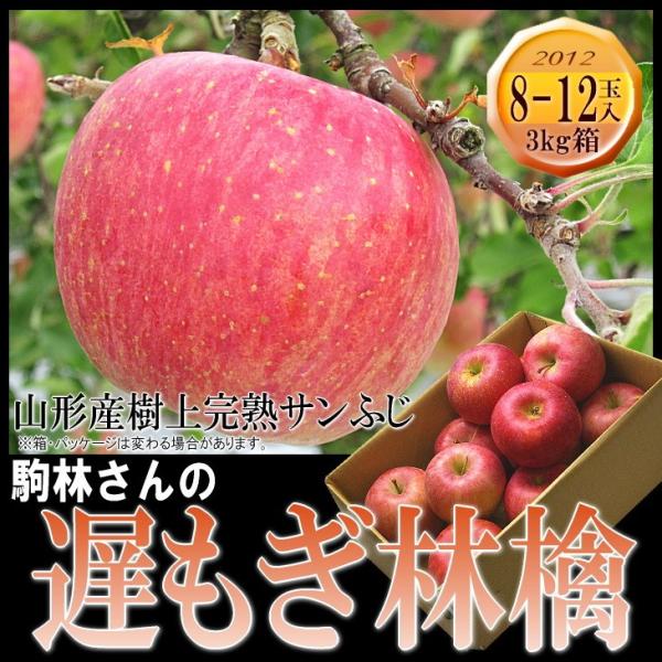 サンふじ 林檎 リンゴ りんご 送料無料 3kg前後 駒林さんの遅もぎサンふじ林檎