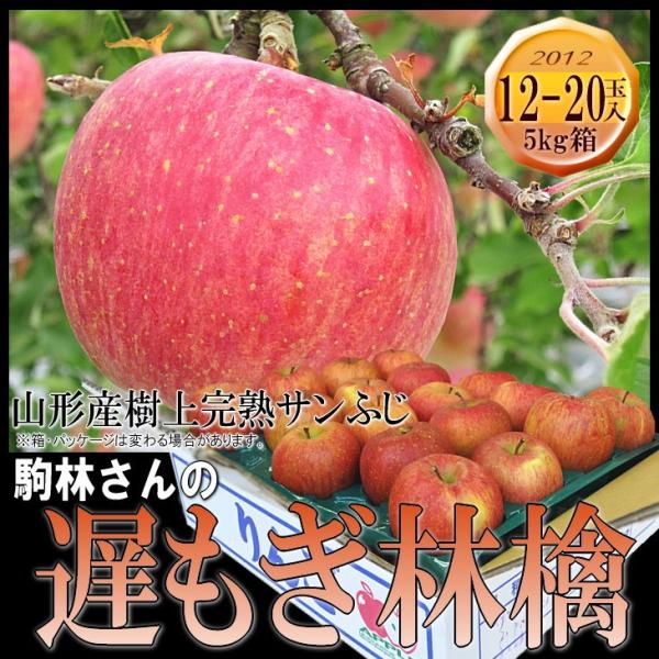 サンふじ 林檎 リンゴ りんご 送料無料 5kg前後 駒林さんの遅もぎサンふじ林檎
