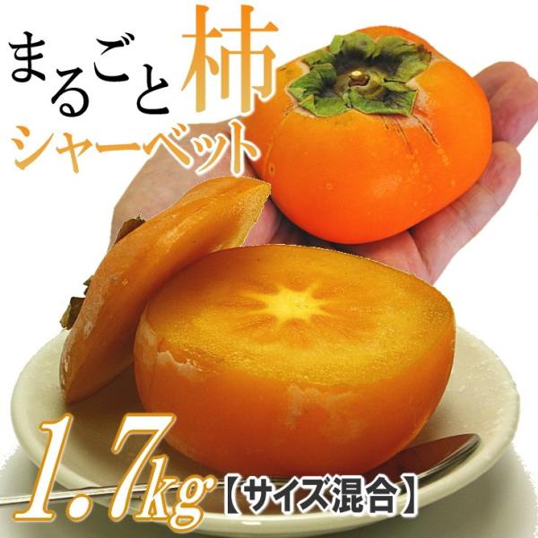 柿 シャーベット 山形産 まるごと柿シャーベット 1.7kg アイス フルーツ