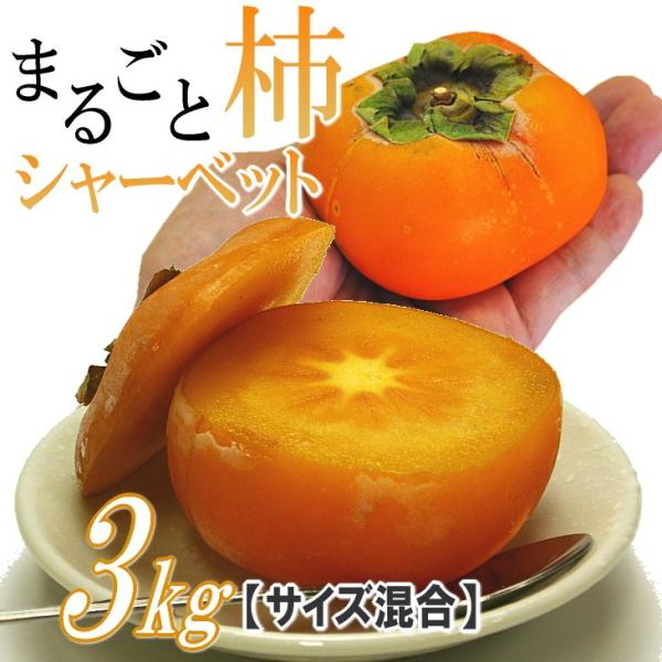 柿 シャーベット 山形産 まるごと柿シャーベット 3kg アイス フルーツ