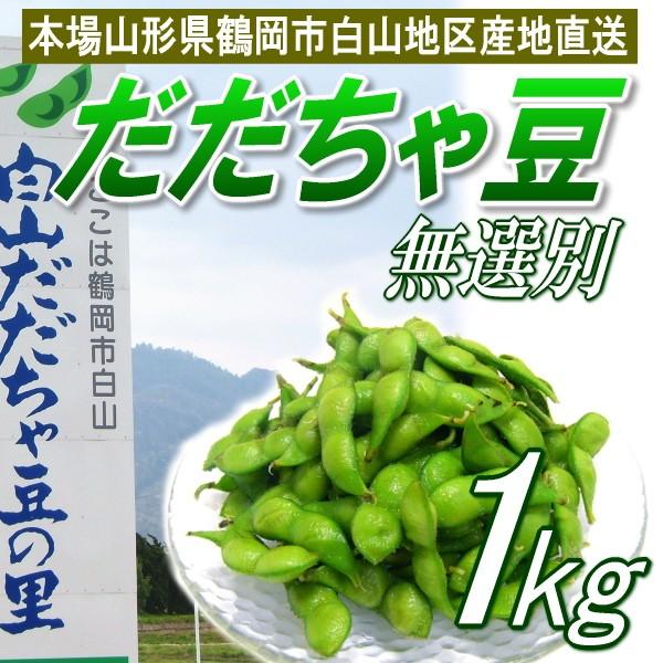 だだちゃ豆　訳あり　1kg　無選別　山形県産　白山ダダチャ豆