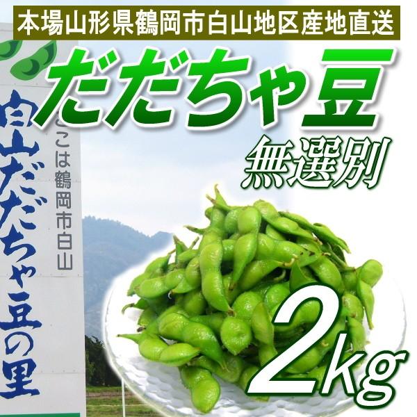 だだちゃ豆　訳あり　2kg　無選別　山形県産　白山ダダチャ豆