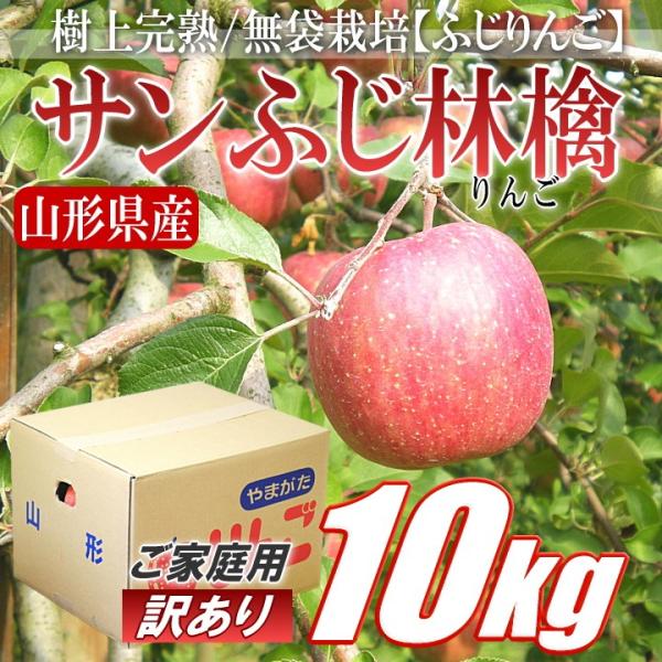 林檎 りんご リンゴ サンふじ 訳あり 約10kg 山形県産 バラ詰め