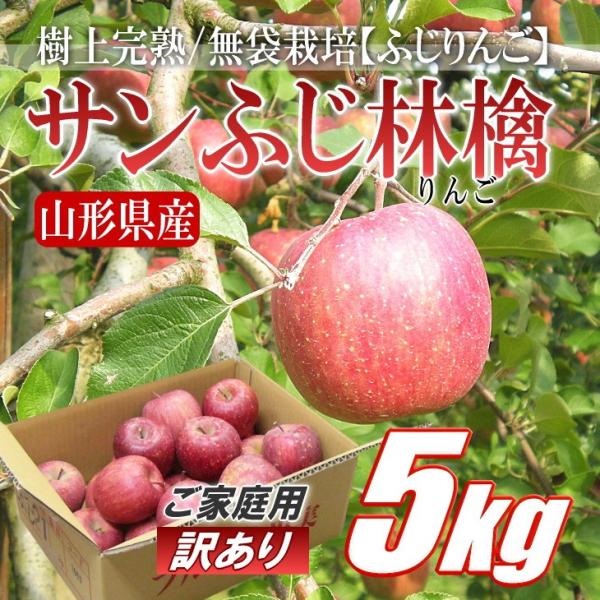 訳あり　サンふじ　林檎　りんご　リンゴ　　約5kg箱　山形県産　バラ詰め