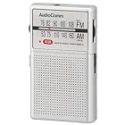 オーム(OHM) 電機AudioComm ラジオ 小型 ポケットラジオ イヤホン巻き取り AM/FM ワイドFM 災害 シルバー RAD-P200S-S 03-0979
