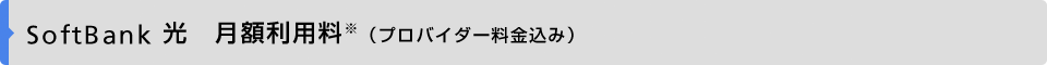 SoftBank 光　月額利用料※（プロバイダー料金込み）