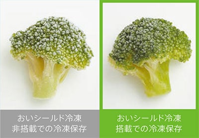 冷凍保存したブロッコリーの比較