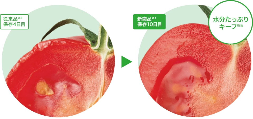 トマトの乾燥比較