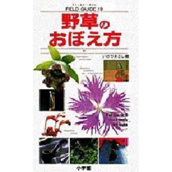 野草のおぼえ方　下