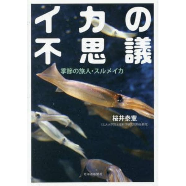 イカの不思議　季節の旅人・スルメイカ