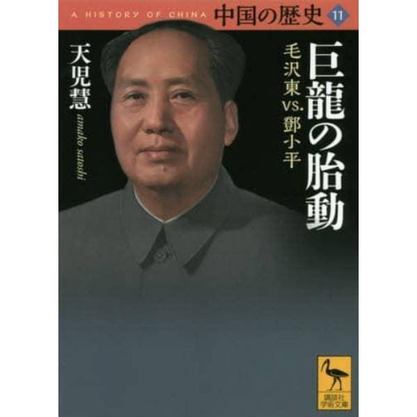 中国の歴史　１１