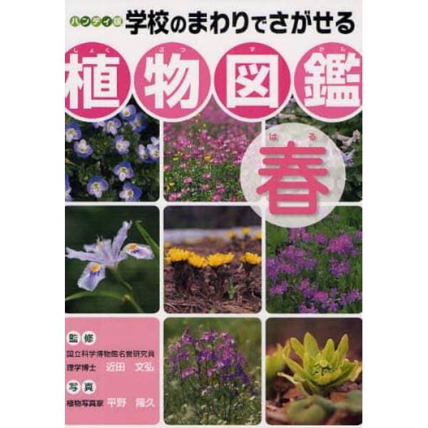 学校のまわりでさがせる植物図鑑　ハンディ版　春