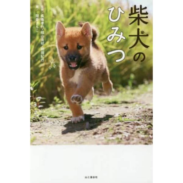 柴犬のひみつ