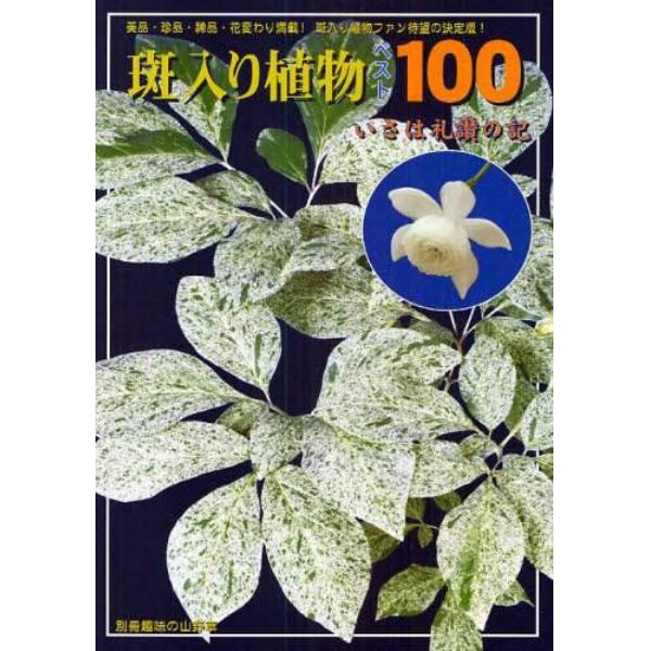 斑入り植物ベスト１００　美品・珍品・稀品・花変わり満載！　いさは礼讃の記