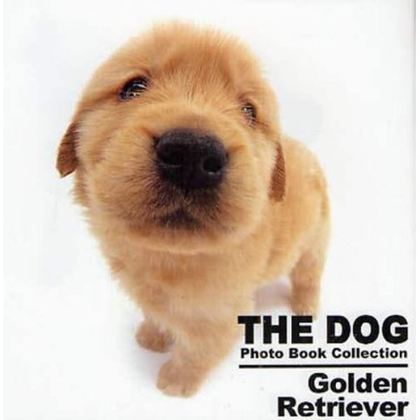 ＴＨＥ　ＤＯＧ　Ｐｈｏｔｏ　Ｂｏｏｋ　Ｃｏｌｌｅｃｔｉｏｎ　Ｇｏｌｄｅｎ　Ｒｅｔｒｉｅｖｅｒ