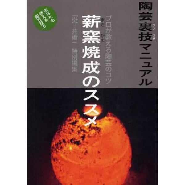 陶芸裏技マニュアル　プロが教える陶芸のコツ　〔７〕　あなたも使える陶芸技法　改題新装版