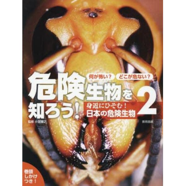 何が怖い？どこが危ない？危険生物を知ろう！　２