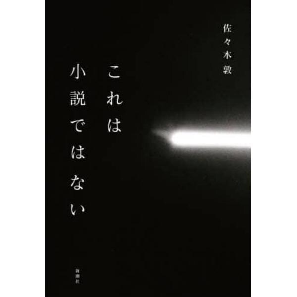 これは小説ではない