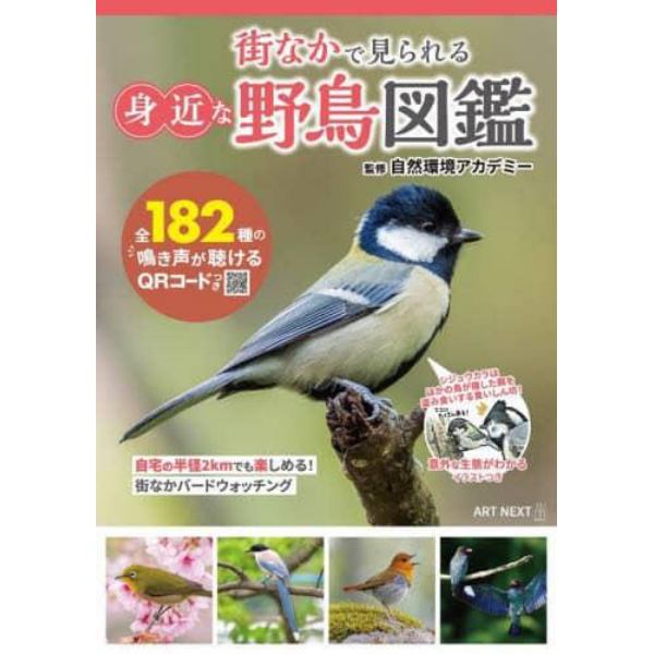 街なかで見られる身近な野鳥図鑑