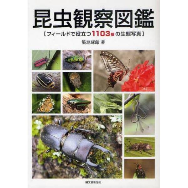 昆虫観察図鑑　フィールドで役立つ１１０３種の生態写真
