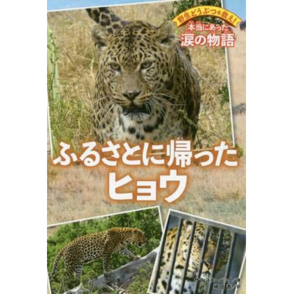 ふるさとに帰ったヒョウ