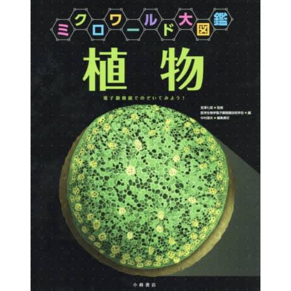 植物　電子顕微鏡でのぞいてみよう！