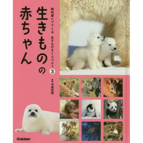 教科書にでてくる生きものをくらべよう　３