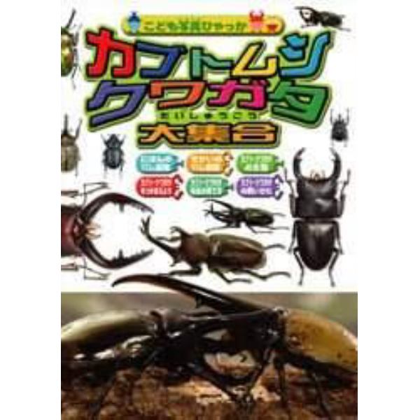 カブトムシ・クワガタ大集合