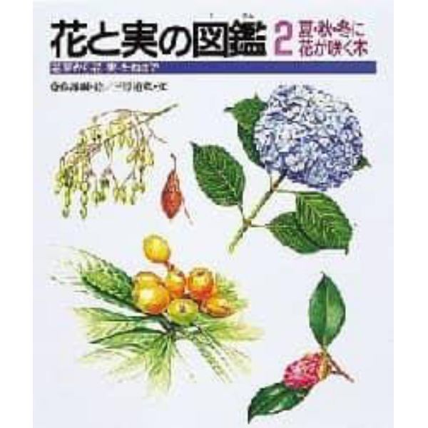 花と実の図鑑　花芽から花・実・たねまで　２