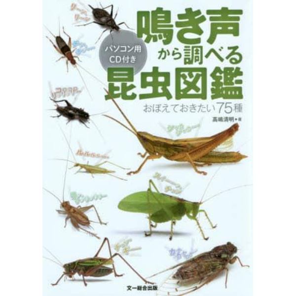 鳴き声から調べる昆虫図鑑　おぼえておきたい７５種