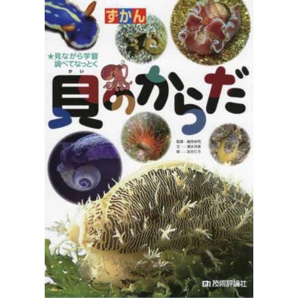 ずかん貝のからだ　見ながら学習調べてなっとく