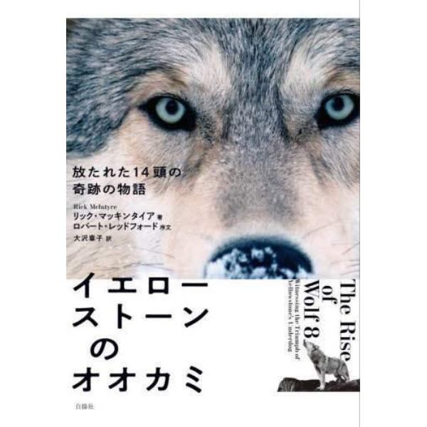 イエローストーンのオオカミ　放たれた１４頭の奇跡の物語