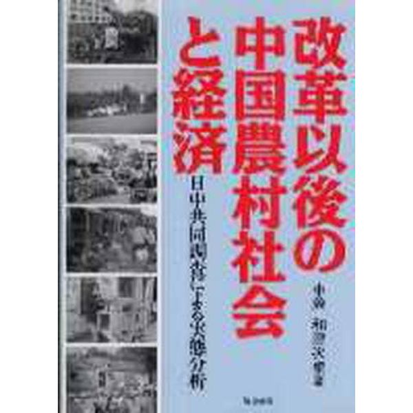 改革以後の中国農村社会と経済　日中共同調査による実態分析