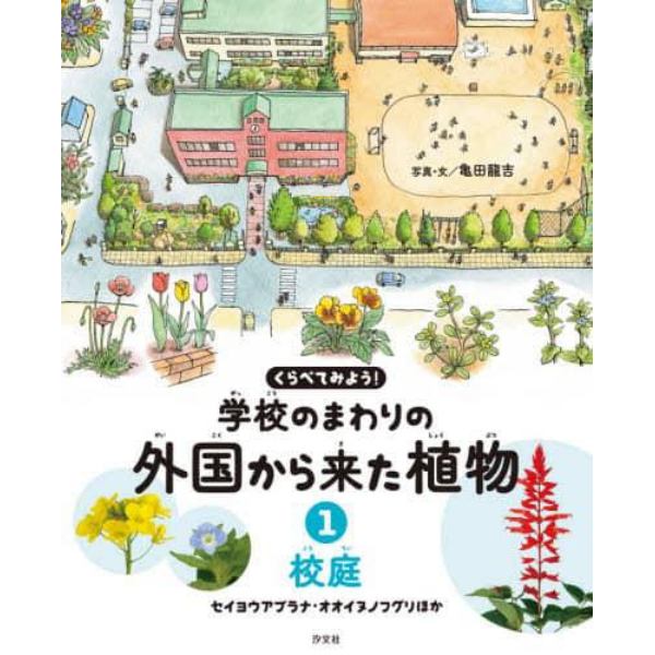 くらべてみよう！学校のまわりの外国から来た植物　１