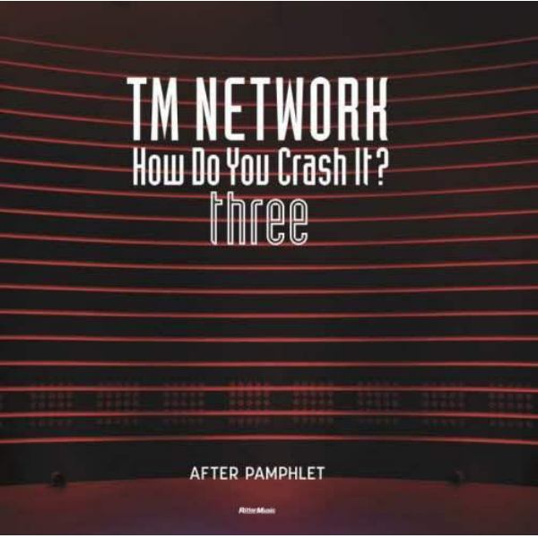 ＴＭ　ＮＥＴＷＯＲＫ　Ｈｏｗ　Ｄｏ　Ｙｏｕ　Ｃｒａｓｈ　Ｉｔ？　ＡＦＴＥＲ　ＰＡＭＰＨＬＥＴ　ｔｈｒｅｅ