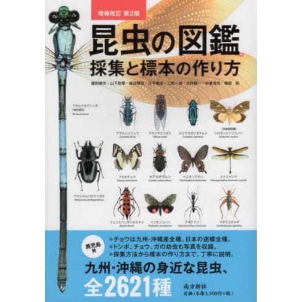 昆虫の図鑑採集と標本の作り方　九州・沖縄の身近な昆虫、全２６２１種