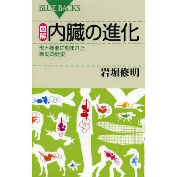 図解・内臓の進化　形と機能に刻まれた激動の歴史