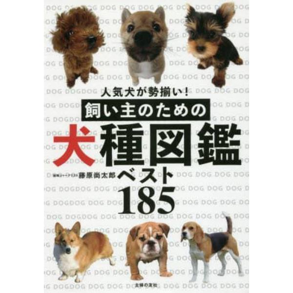 飼い主のための犬種図鑑ベスト１８５　人気犬が勢揃い！