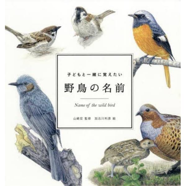 子どもと一緒に覚えたい野鳥の名前